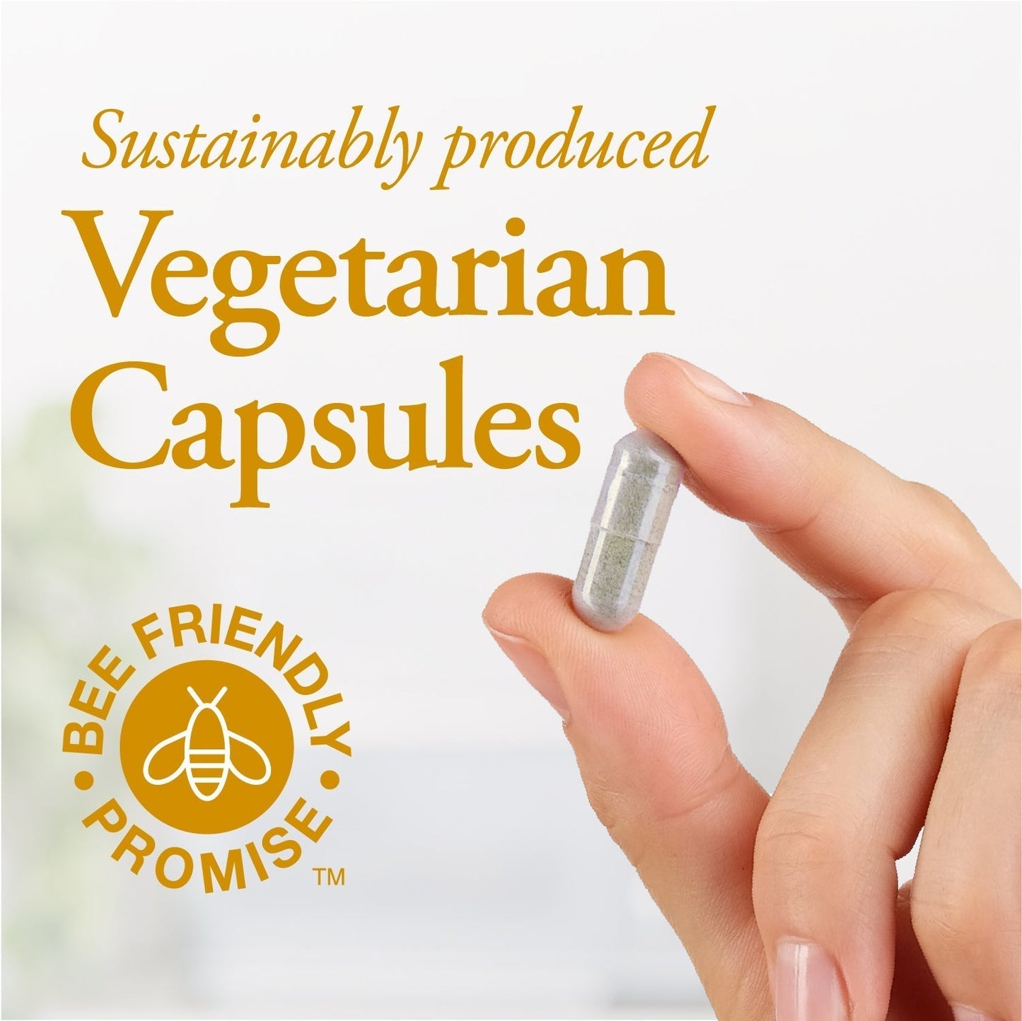 Bee Pollen (500 MG - 90 Capsules)