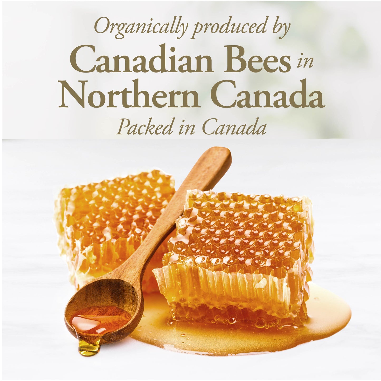 Organic Liquid Honey 330 g