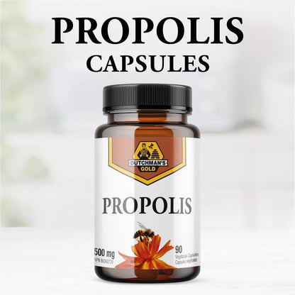 Bee Propolis 500 mg 90 caps