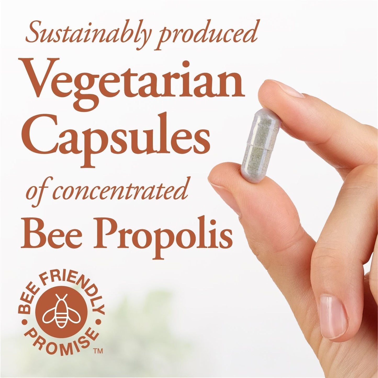 Bee Propolis 500 mg 90 caps