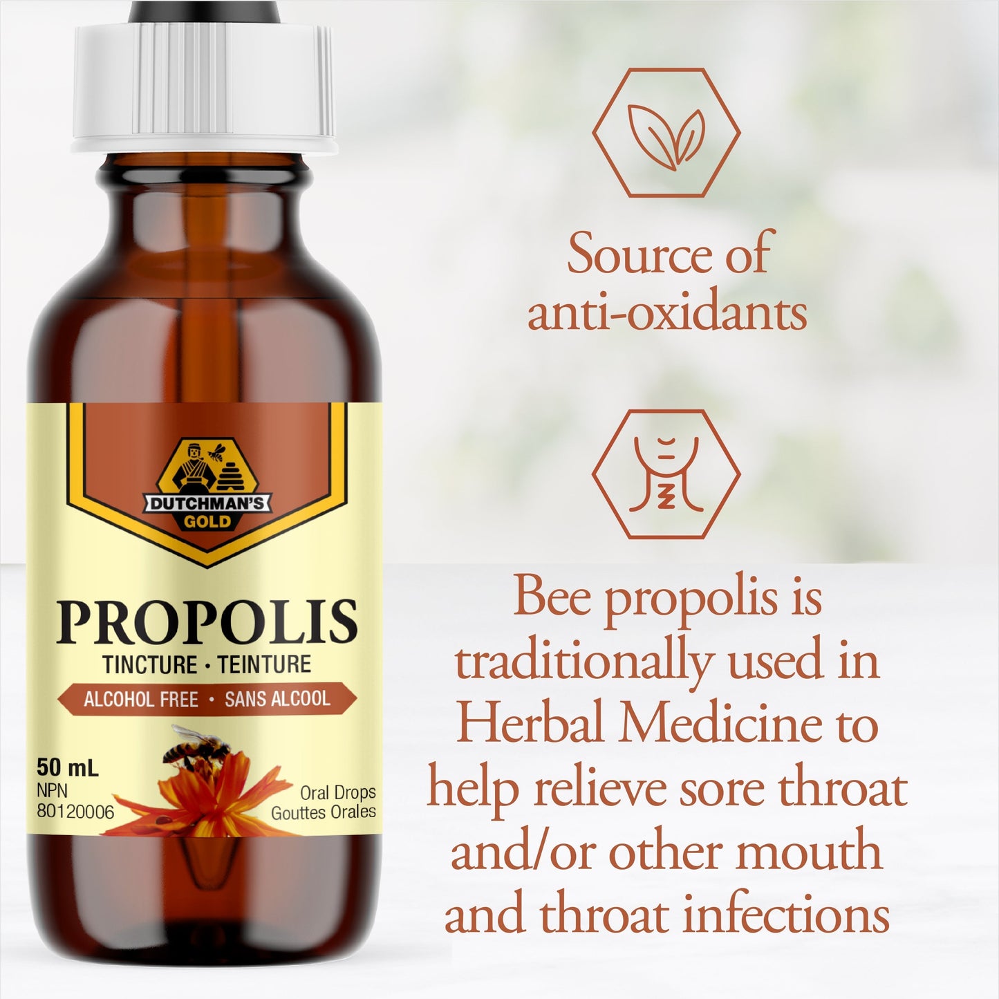 Propolis Tincture - Alcohol Free 50 ml