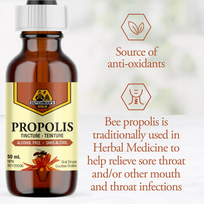 Propolis Tincture - Alcohol Free 50 ml