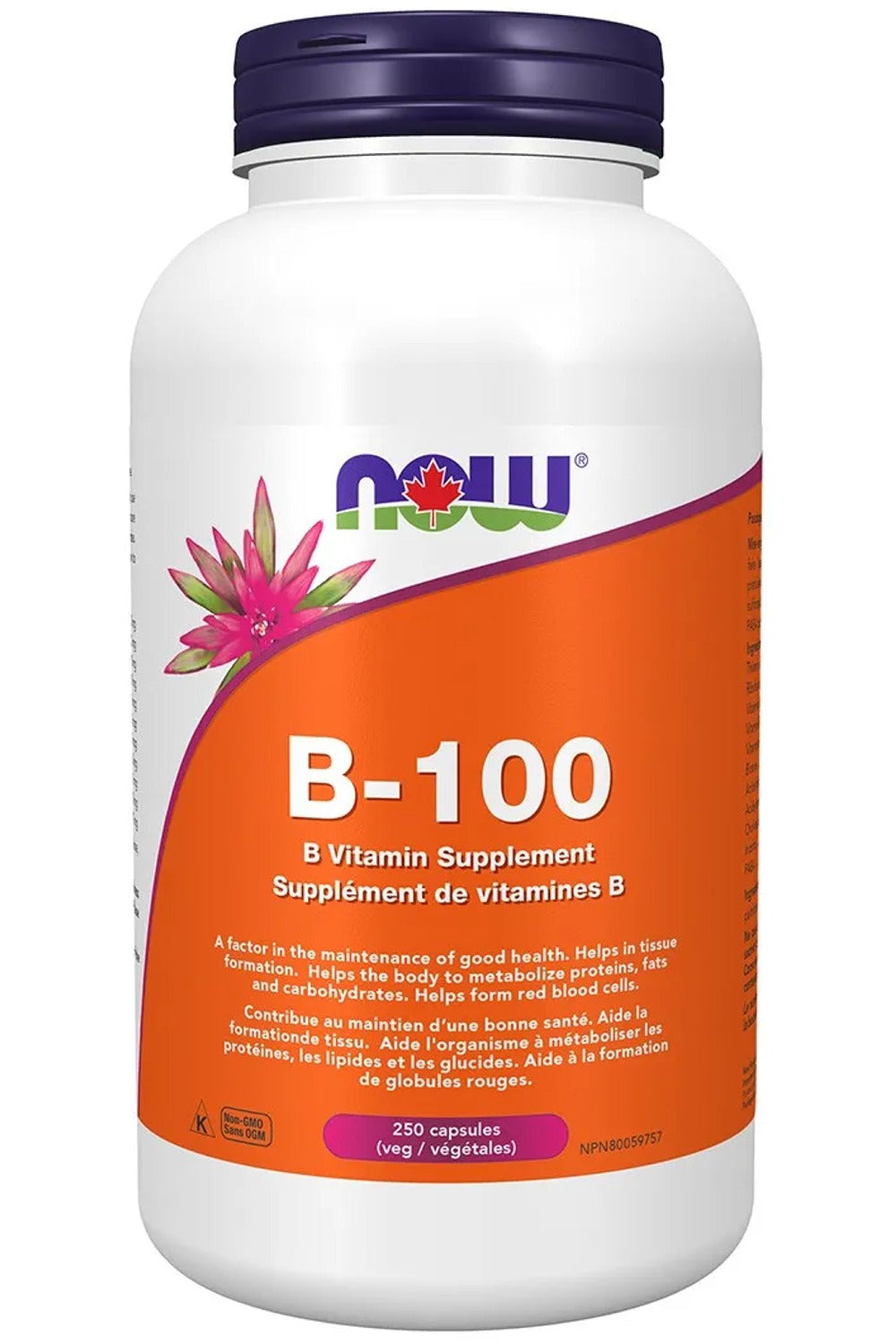 NOW B-100 Complex (250 vcaps) Canada | My Choice Naturally