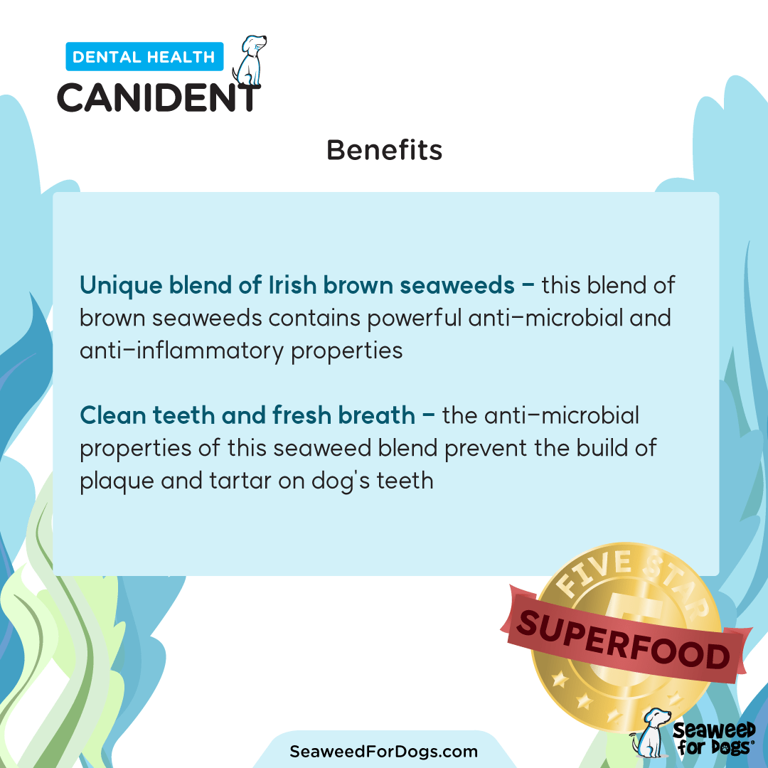 Canident - Clean Dogs Teeth (300 g)