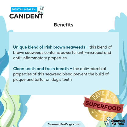 Canident - Clean Dogs Teeth (300 g)
